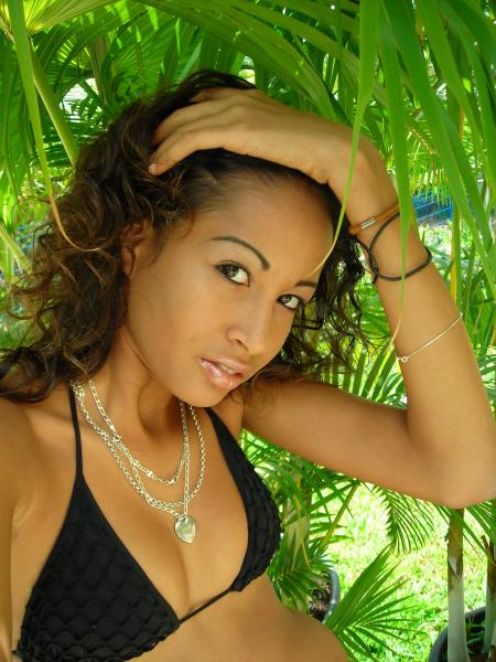 lyly